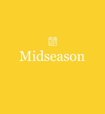 Midsseason -10% 
Den Sommeranfang auf Norderney genießen.  - Insular
