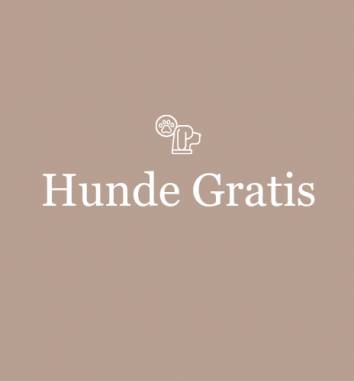 Bis zum 30.06. laden wir Ihren Hund ein!
 - Insular
